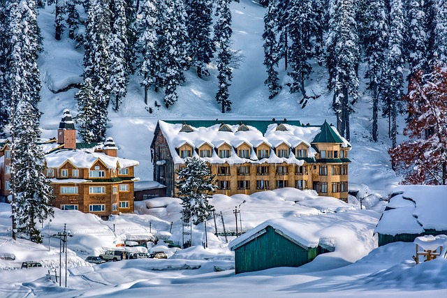 Kashmir Special Winter Package